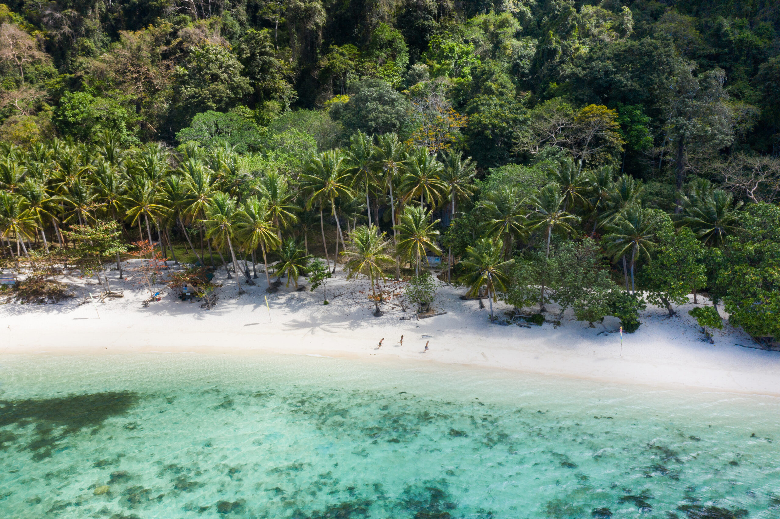 Tropical,Beach,With,Blue,Water,And,Palm,Trees,-,El